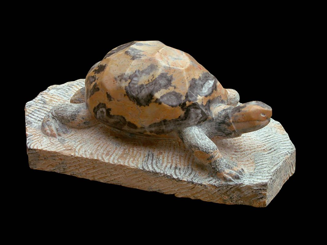 scultpure tortue en marbre par Olivier delobel