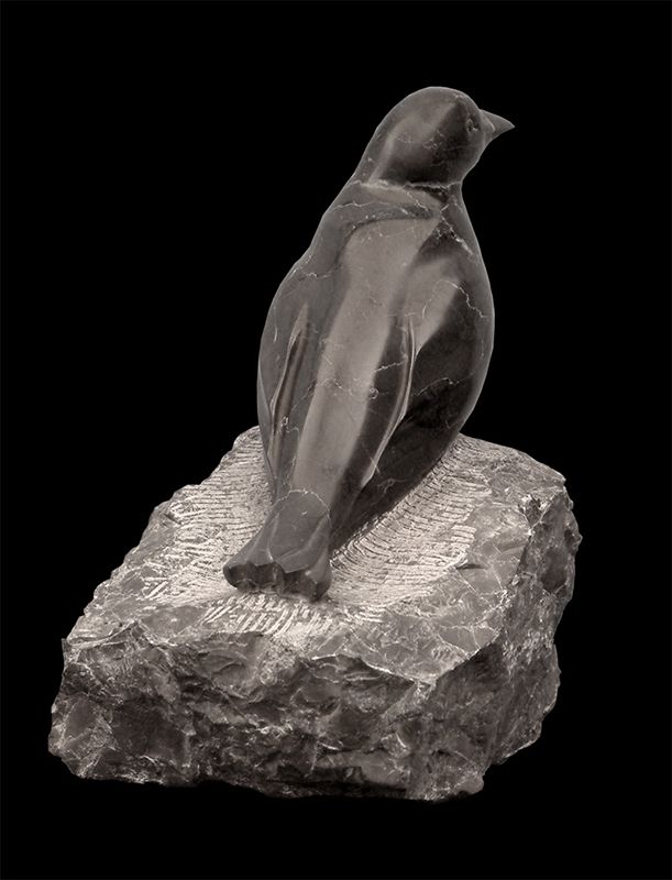 oiseau NOIR en marbre noir LAURENS par Olivier delobel